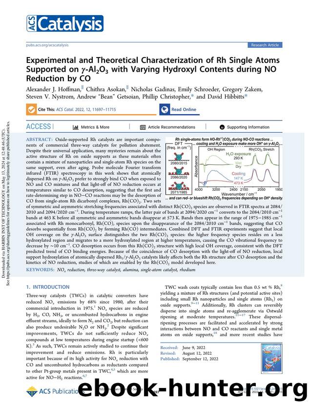 Experimental and Theoretical Characterization of Rh Single Atoms Supported on Î³-Al2O3 with Varying Hydroxyl Contents during NO Reduction by CO by unknow