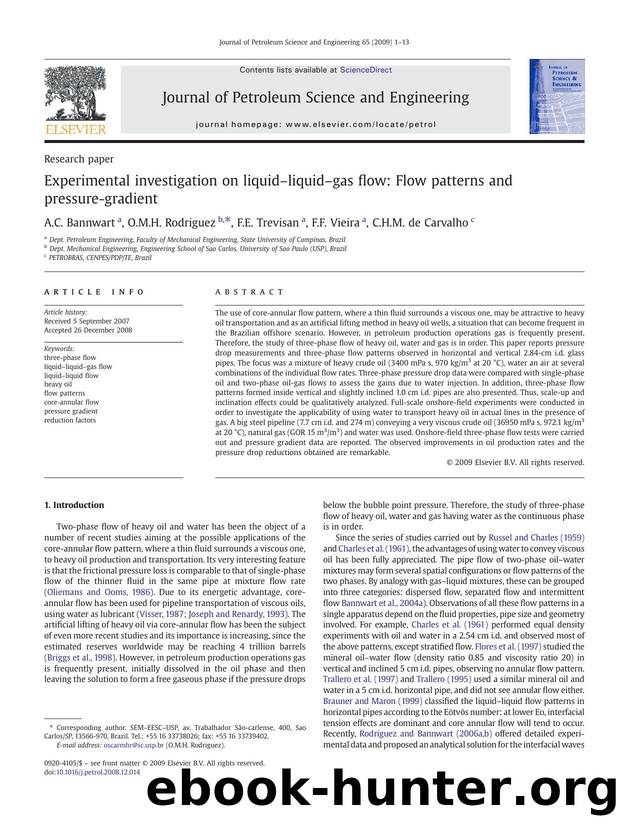 Experimental investigation on liquidâliquidâgas flow: Flow patterns and pressure-gradient by A.C. Bannwart; O.M.H. Rodriguez; F.E. Trevisan; F.F. Vieira; C.H.M. de Carvalho