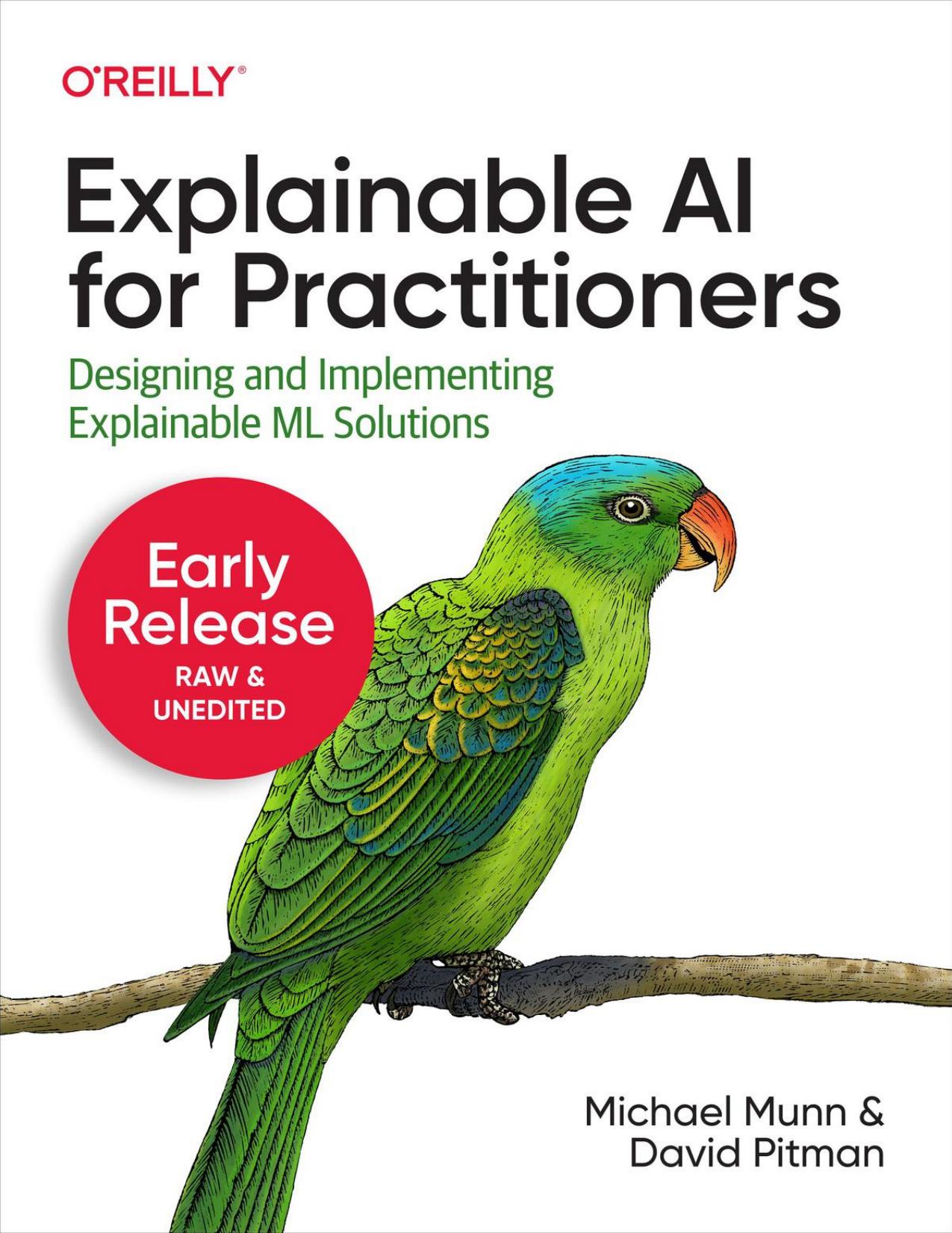 Explainable AI for Practitioners (Early Release, Ch1&2/8) by Michael Munn; David Pitman