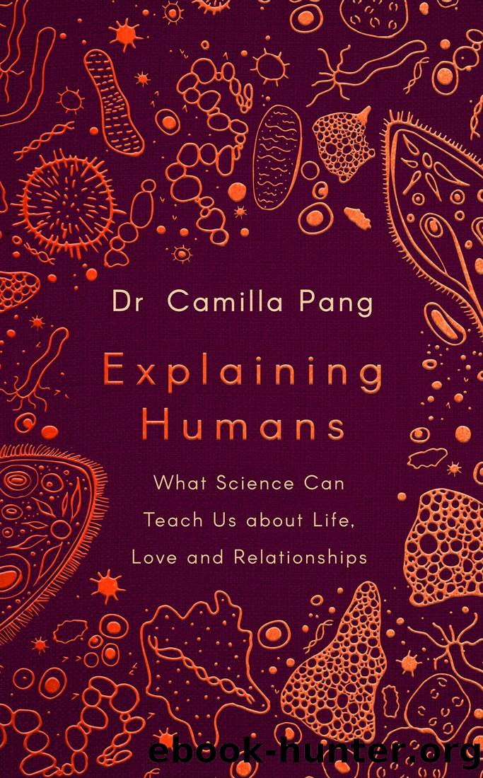 Explaining Humans: What Science Can Teach Us About Life, Love and Relationships by Camilla Pang