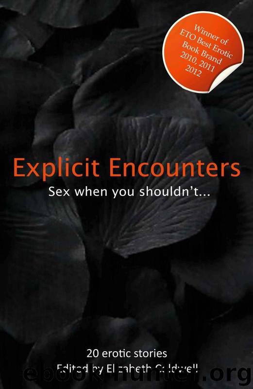 Explicit Encounters - Sex When You Shouldn't (Xcite Best-Selling Collections) by Unknown