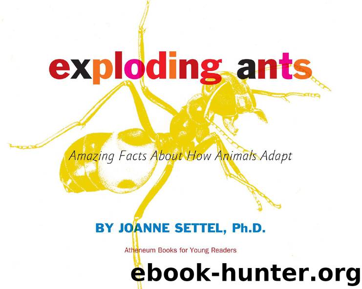 Exploding Ants by Joanne Settel