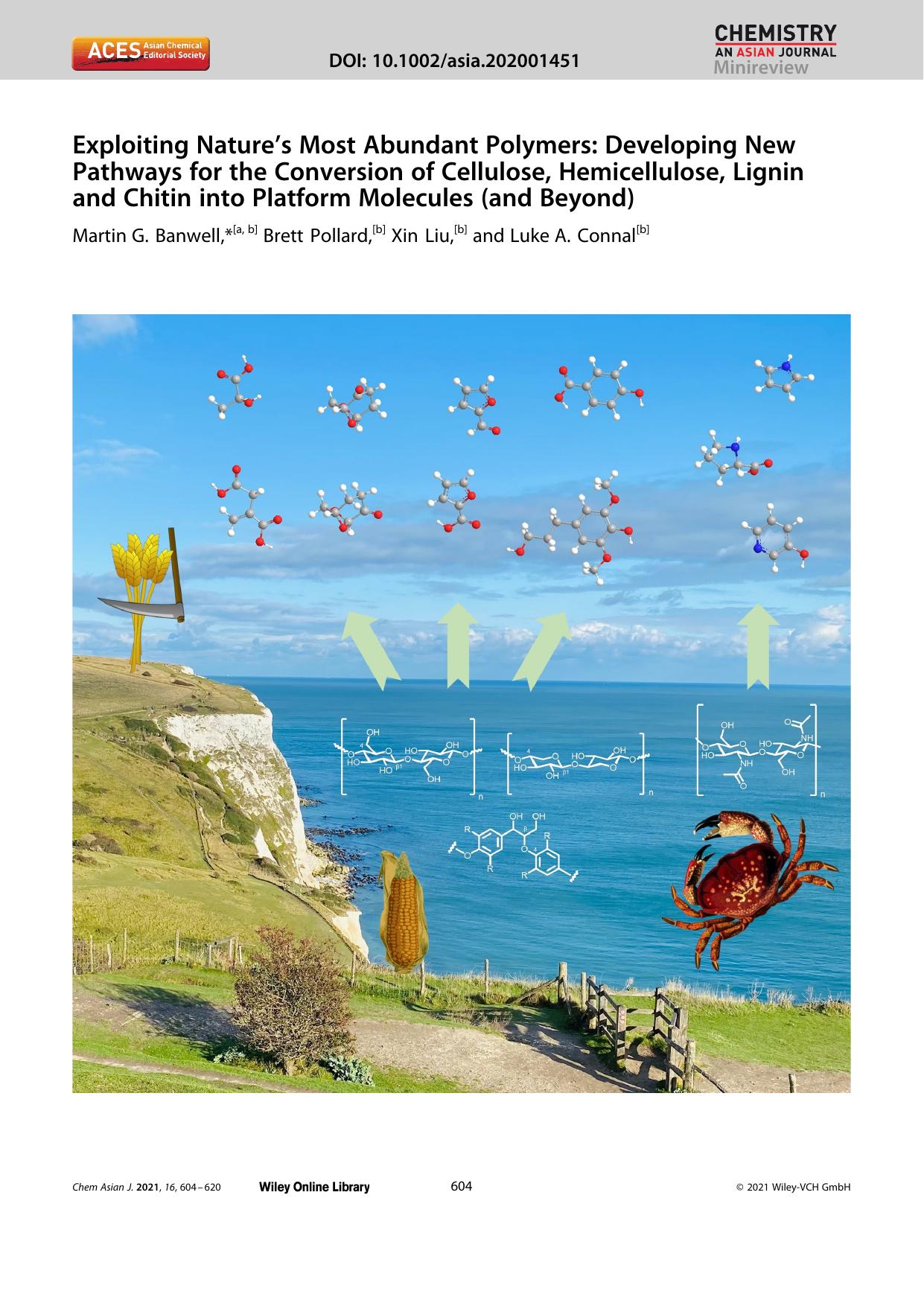 Exploiting Nature's Most Abundant Polymers: Developing New Pathways for the Conversion of Cellulose, Hemicellulose, Lignin and Chitin into Platform Molecules (and Beyond) by Unknown