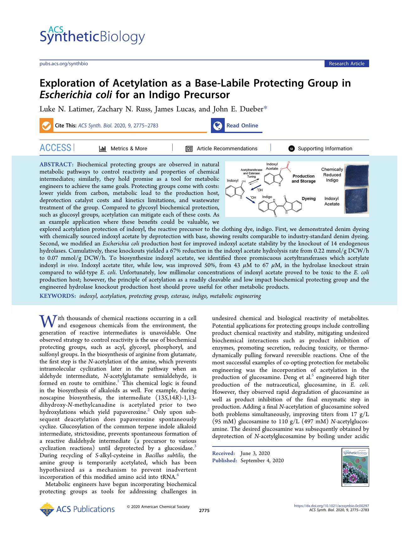 Exploration of Acetylation as a Base-Labile Protecting Group in Escherichia coli for an Indigo Precursor by Luke N. Latimer Zachary N. Russ James Lucas and John E. Dueber