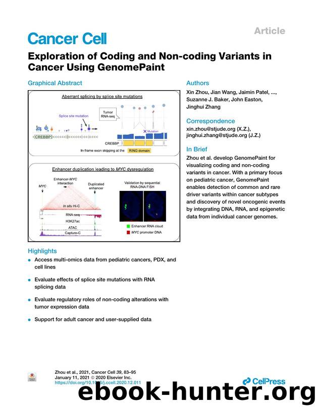 Exploration of Coding and Non-coding Variants in Cancer Using GenomePaint by unknow