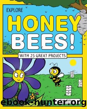 Explore Honey Bees! by Cindy Blobaum