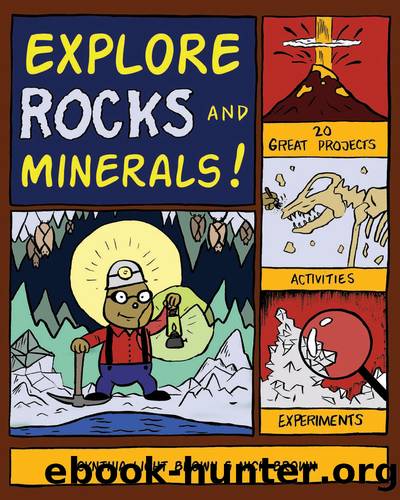 Explore Rocks and Minerals! by Cynthia Light Brown & Nick Brown