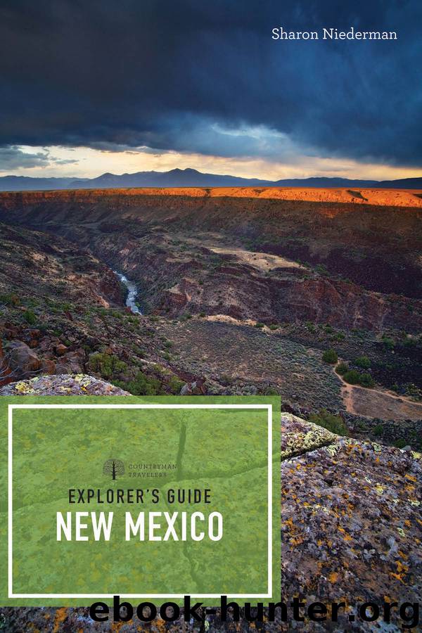 Explorer's Guide New Mexico by Sharon Niederman