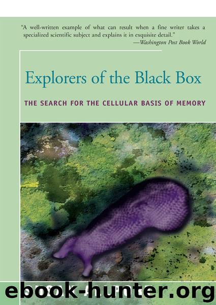 Explorers of the Black Box by Susan Allport