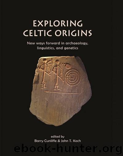 Exploring Celtic Origins by Barry Cunliffe