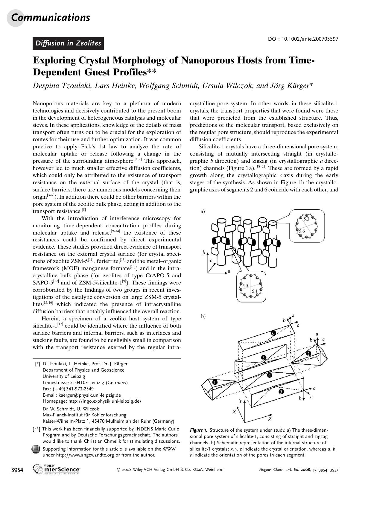 Exploring Crystal Morphology of Nanoporous Hosts from Time-Dependent Guest Profiles by Unknown