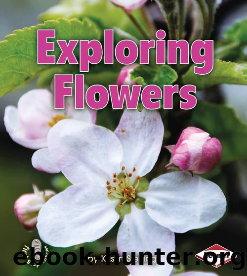 Exploring Flowers by Kristin Sterling