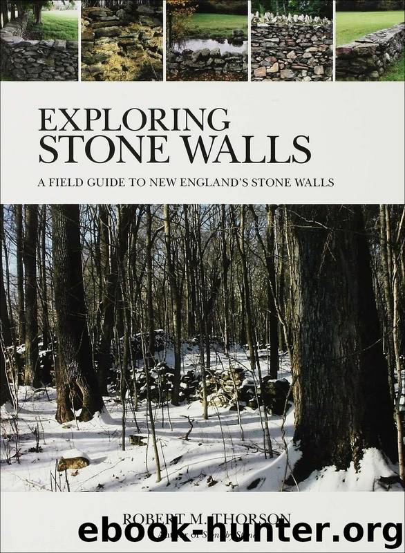Exploring Stone Walls by Robert Thorson