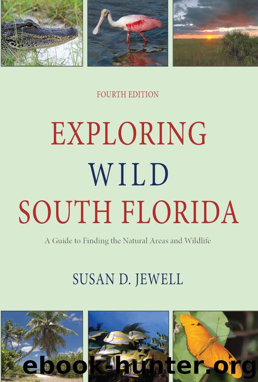 Exploring Wild South Florida by Susan D. Jewell