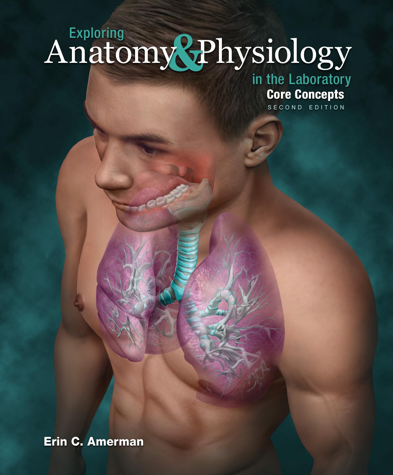 Exploring anatomy & physiology in the laboratory: core concepts by Amerman Erin C