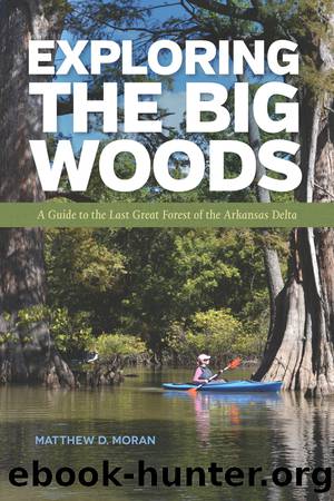 Exploring the Big Woods by Moran Matthew D.;