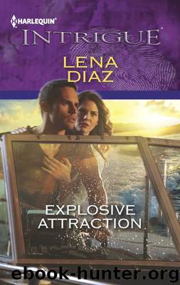 Explosive Attraction by Lena Diaz
