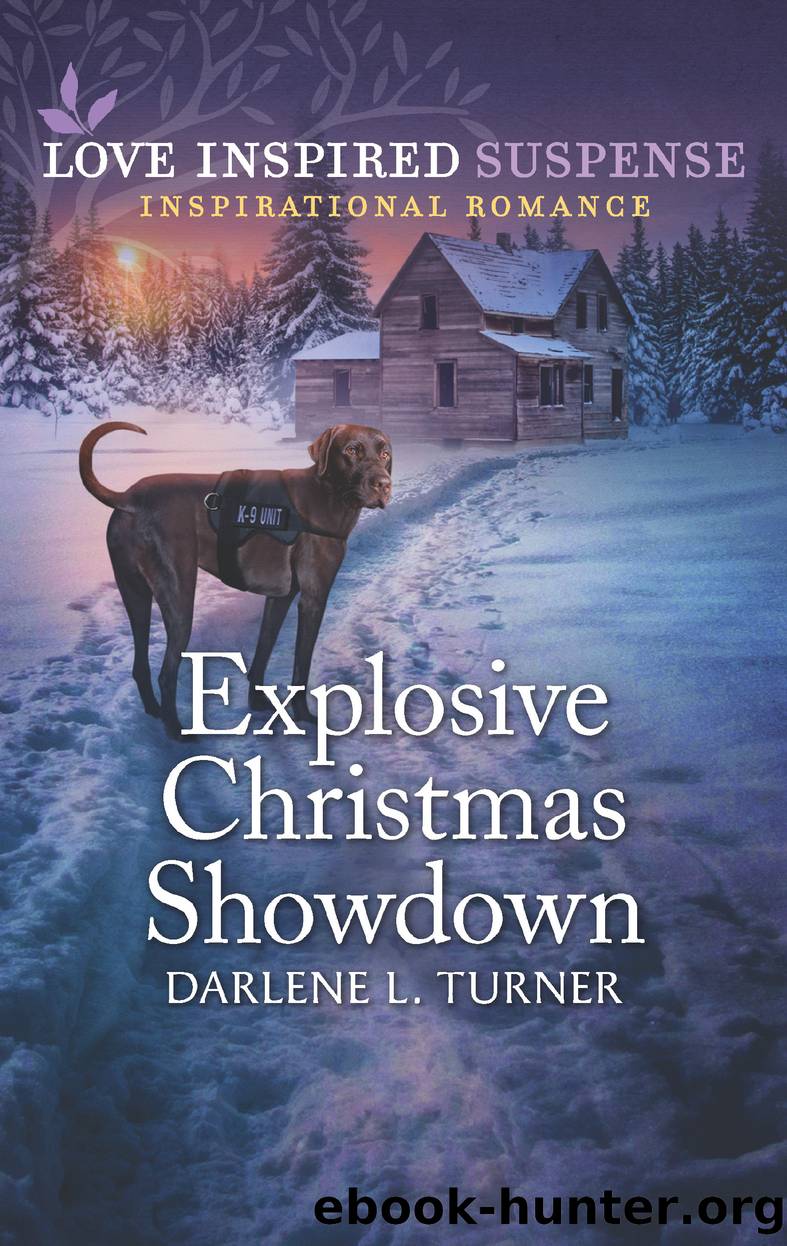 Explosive Christmas Showdown by Darlene L. Turner