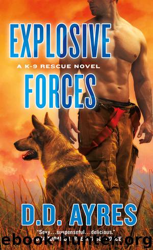 Explosive Forces by D.D. Ayres
