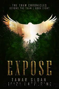 Expose: Beyond the Thaw (The Thaw Chronicles Book 8) by Heidi Catherine & Tamar Sloan