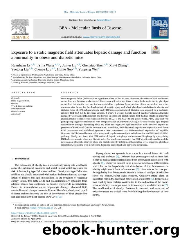 Exposure to a static magnetic field attenuates hepatic damage and function abnormality in obese and diabetic mice by unknow