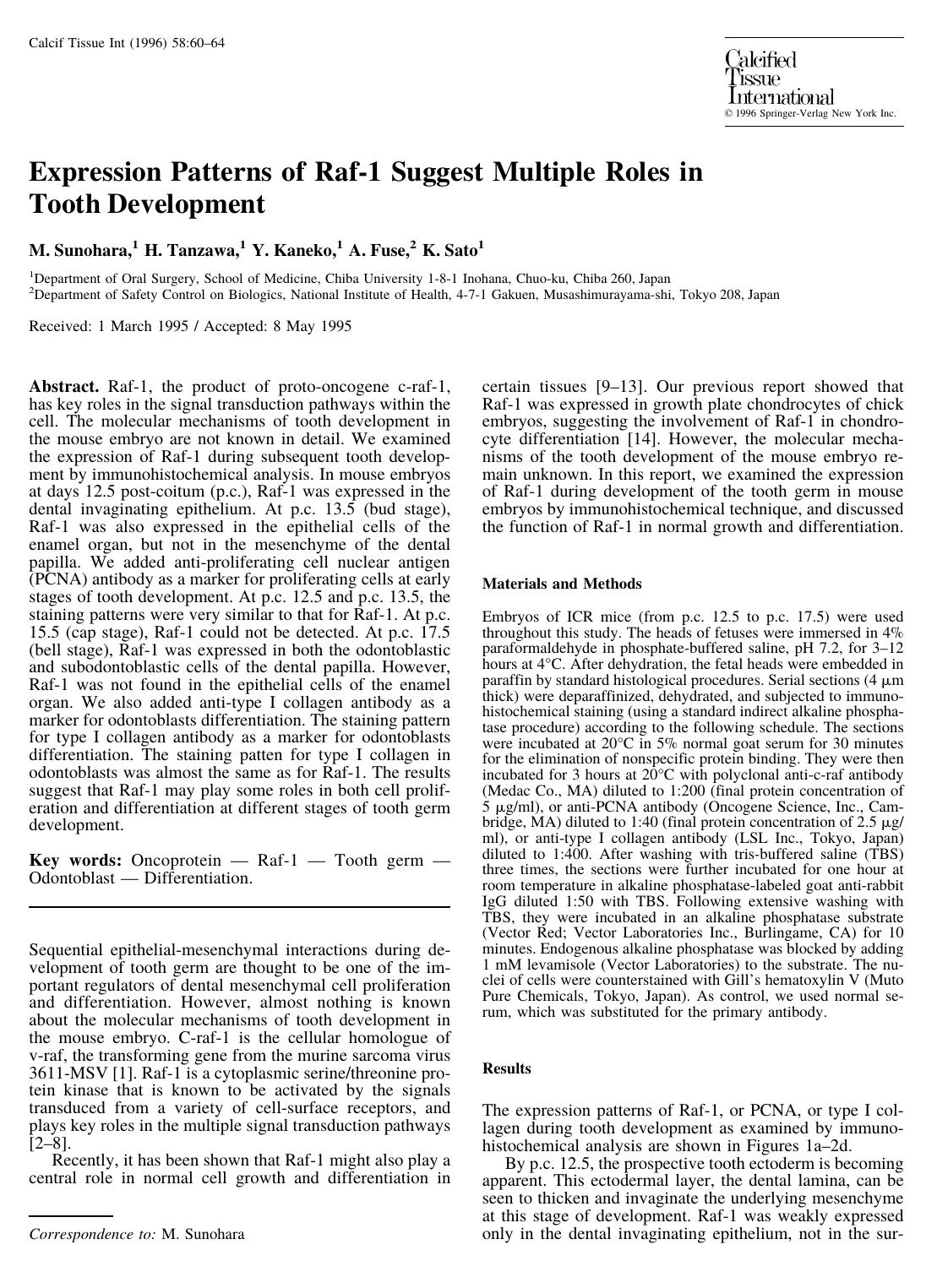 Expression Patterns of Raf-1 Suggest Multiple Roles in Tooth Development by Sunohara M. et al