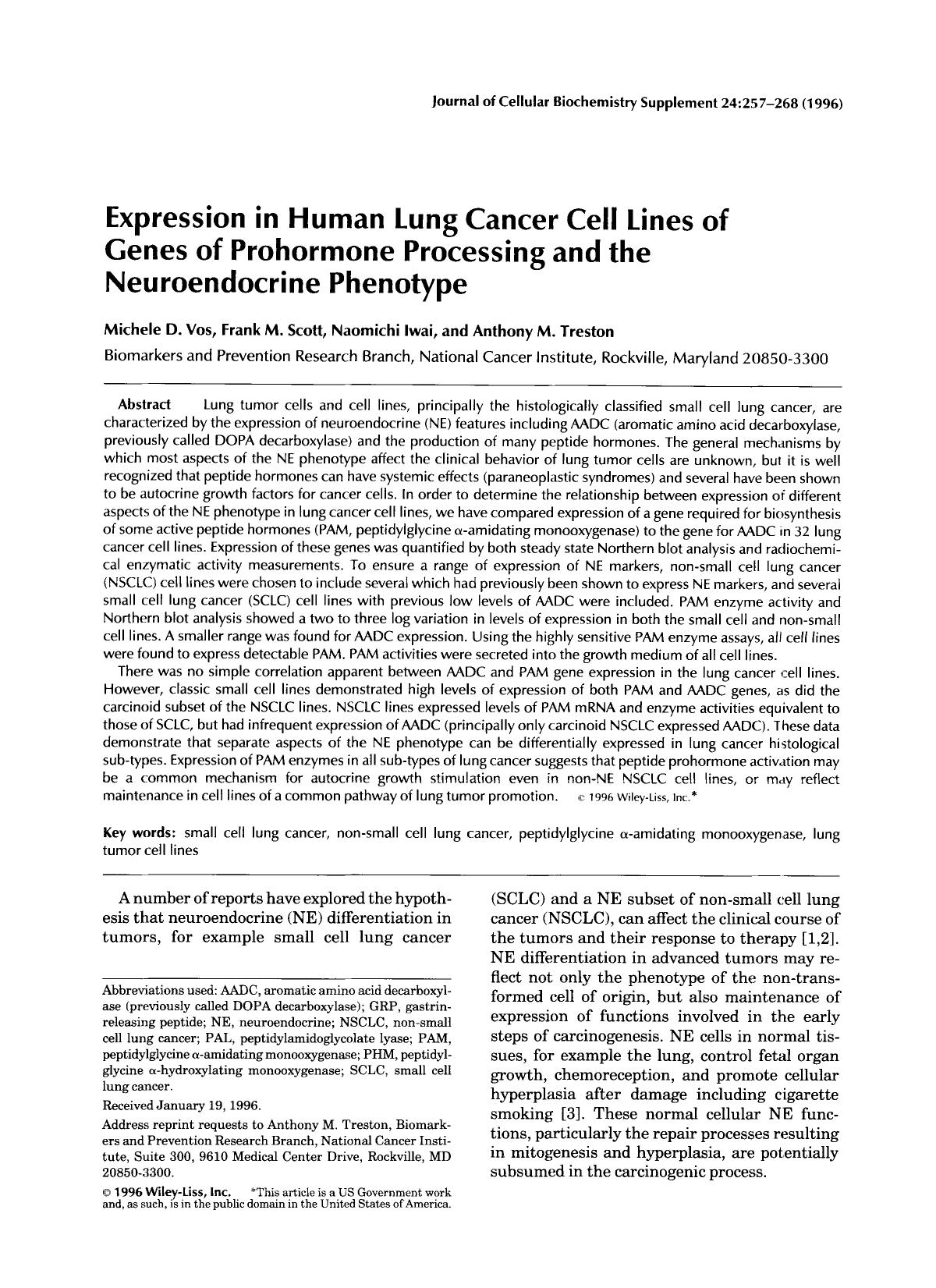 Expression in human lung cancer cell lines of genes of prohormone processing and the neuroendocine phenotype by Unknown
