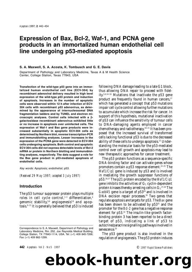 Expression of Bax, Bcl-2, Waf-1, and PCNA gene products in an immortalized human endothelial cell line undergoing p53-mediated apoptosis by Unknown
