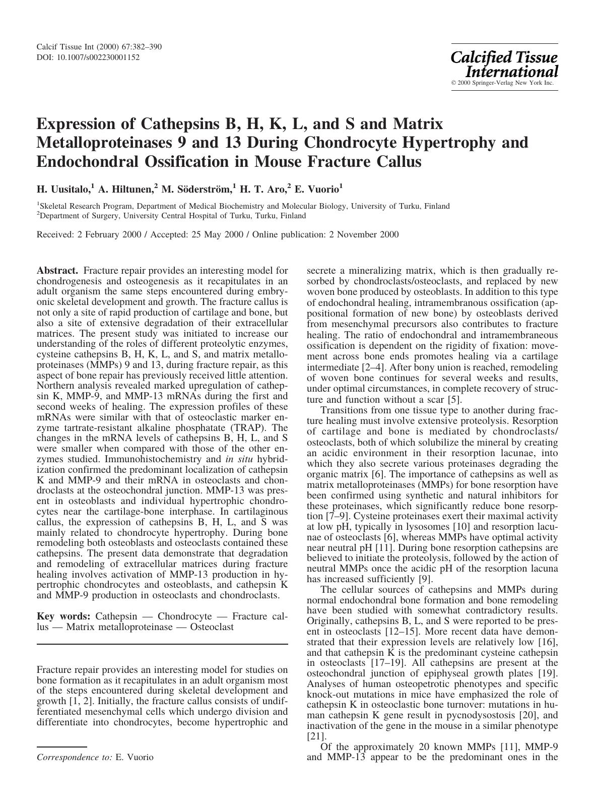 Expression of Cathepsins B, H, K, L, and S and Matrix Metalloproteinases 9 and 13 During Chondrocyte Hypertrophy and Endochondral Ossification in Mouse Fracture Callus by Uusitalo H. et al