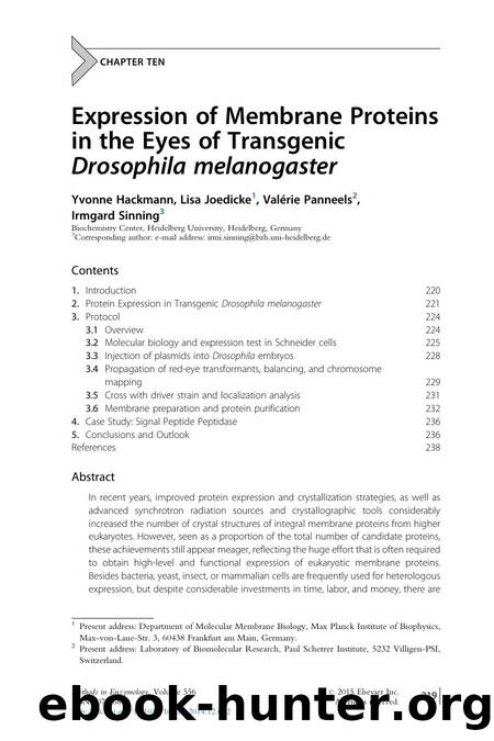 Expression of Membrane Proteins in the Eyes of Transgenic Drosophila melanogaster by Yvonne Hackmann