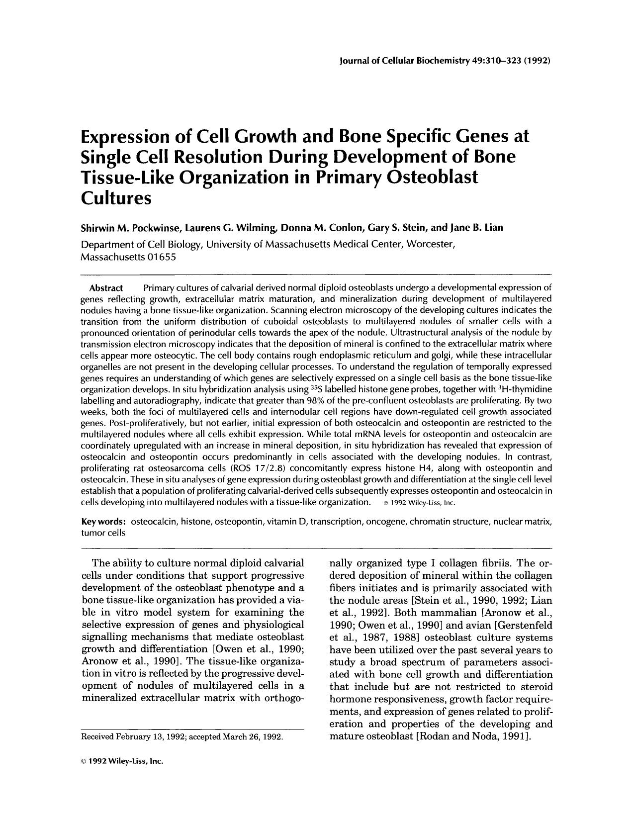Expression of cell growth and bone specific genes at single cell resolution during development of bone tissue-like organization in primary osteoblast cultures by Unknown