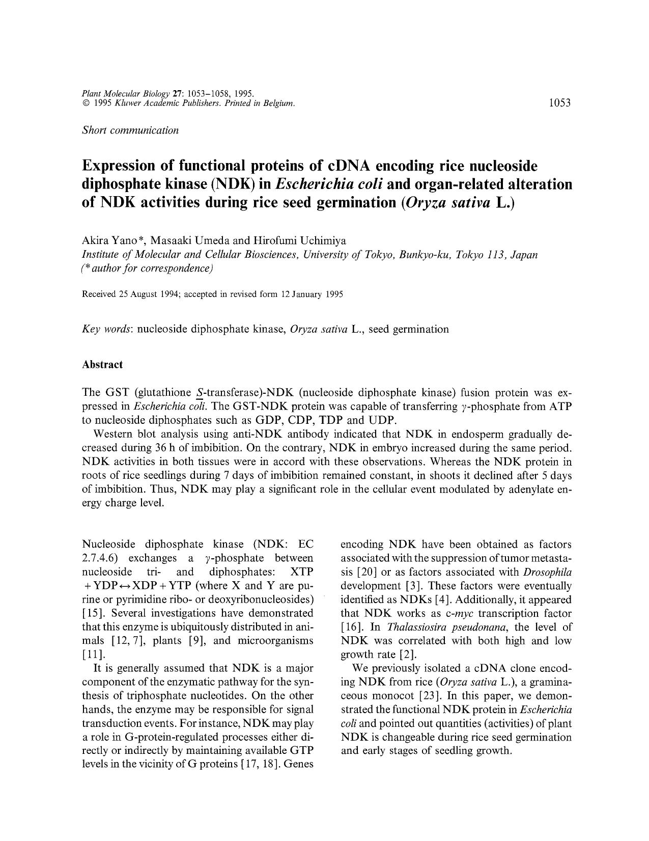 Expression of functional proteins of cDNA encoding rice nucleoside diphosphate kinase (NDK) in <Emphasis Type="Italic">Escherichia coli <Emphasis> and organ-related alteration of by Unknown