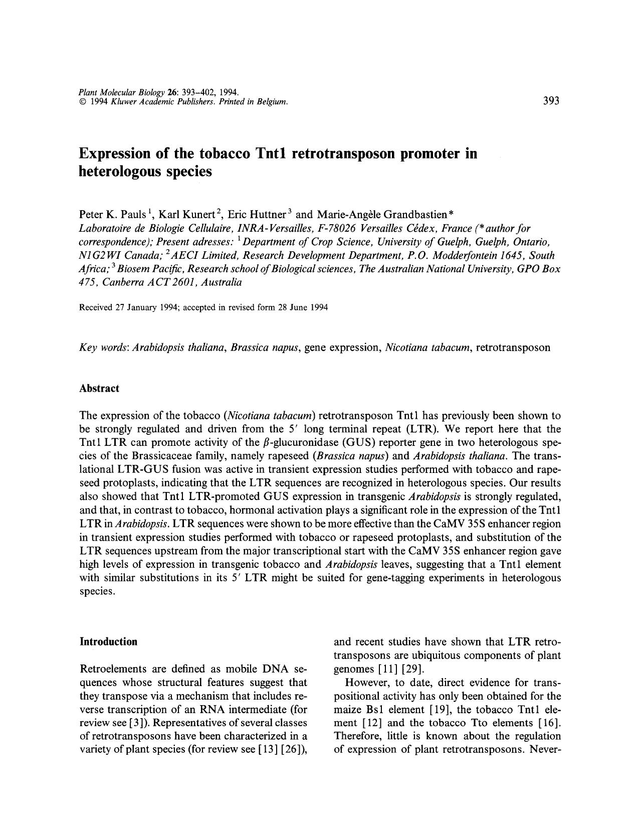 Expression of the tobacco Tnt1 retrotransposon promoter in heterologous species by Unknown