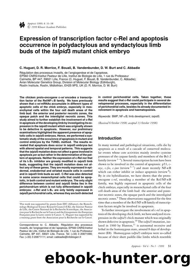 Expression of transcription factor c-Rel and apoptosis occurrence in polydactylous and syndactylous limb buds of the talpid3 mutant chick embryo by Unknown