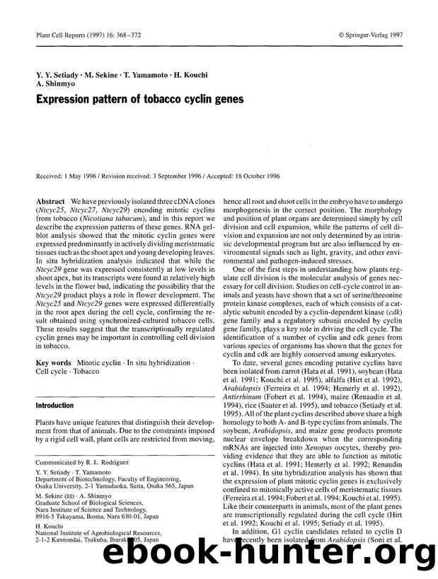 Expression pattern of tobacco cyclin genes by Unknown