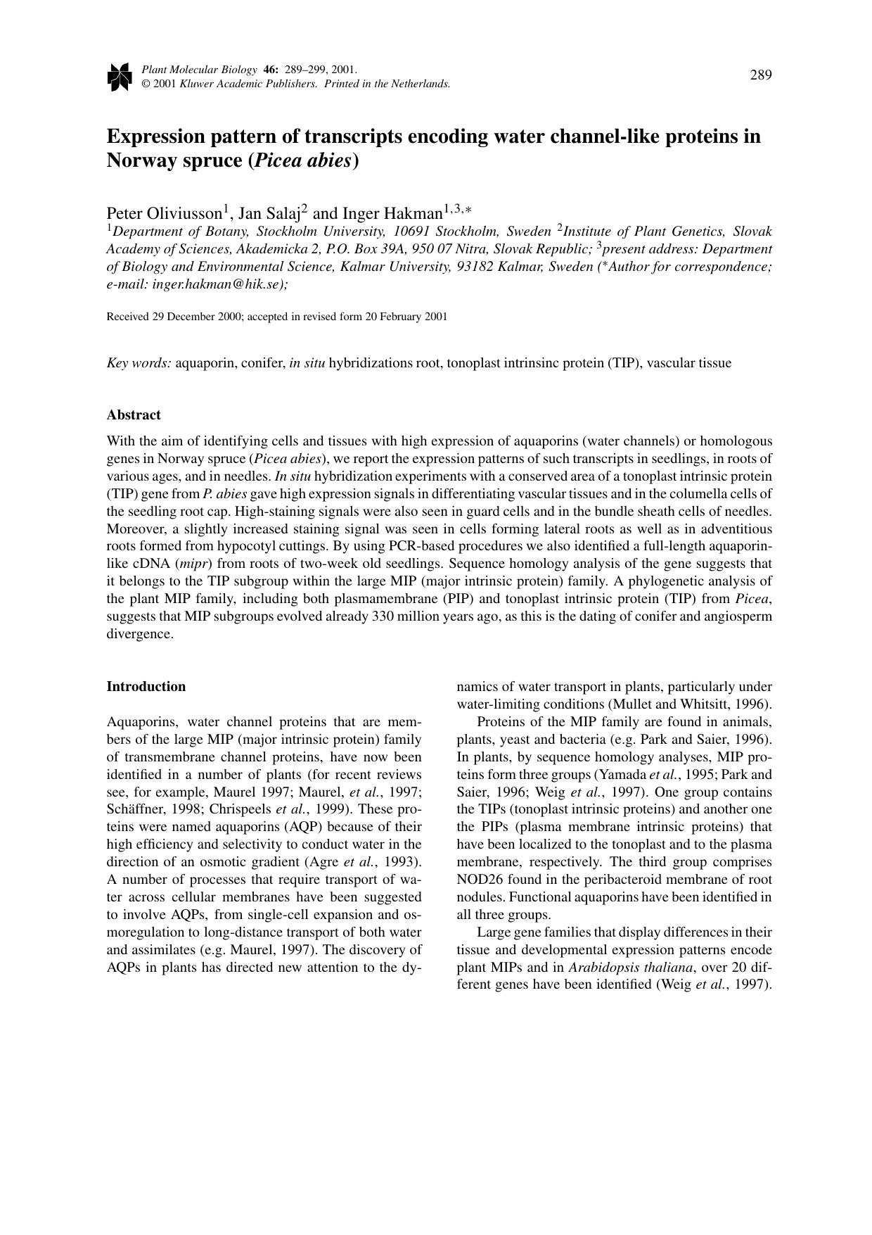 Expression pattern of transcripts encoding water channel-like proteins in Norway spruce (Picea abies) by Unknown