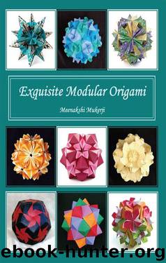Exquisite Modular Origami by Meenakshi Mukerji