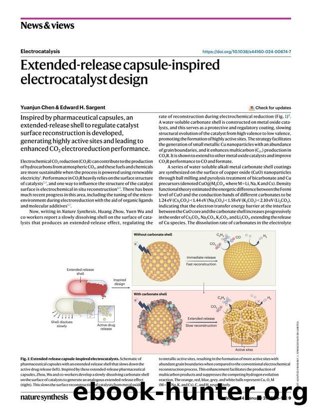 Extended-release capsule-inspired electrocatalyst design by Yuanjun Chen & Edward H. Sargent