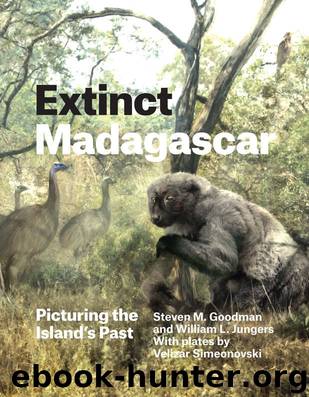 Extinct Madagascar: Picturing the Island's Past by Steven M. Goodman & William L. Jungers