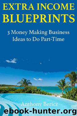 Extra Income Blueprints: 3 Money Making Business Ideas to Do Part-Time by Anthony Bericz