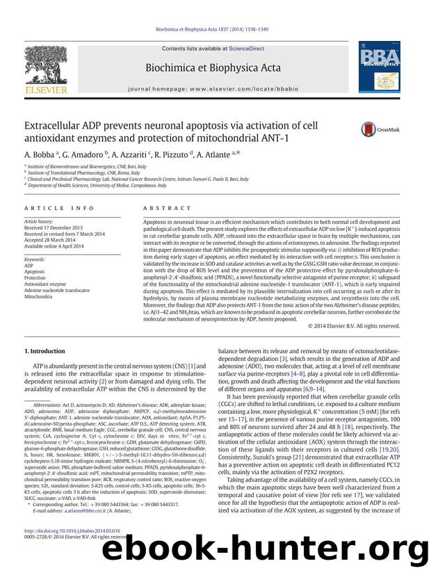 Extracellular ADP prevents neuronal apoptosis via activation of cell antioxidant enzymes and protection of mitochondrial ANT-1 by A. Bobba & G. Amadoro & A. Azzariti & R. Pizzuto & A. Atlante