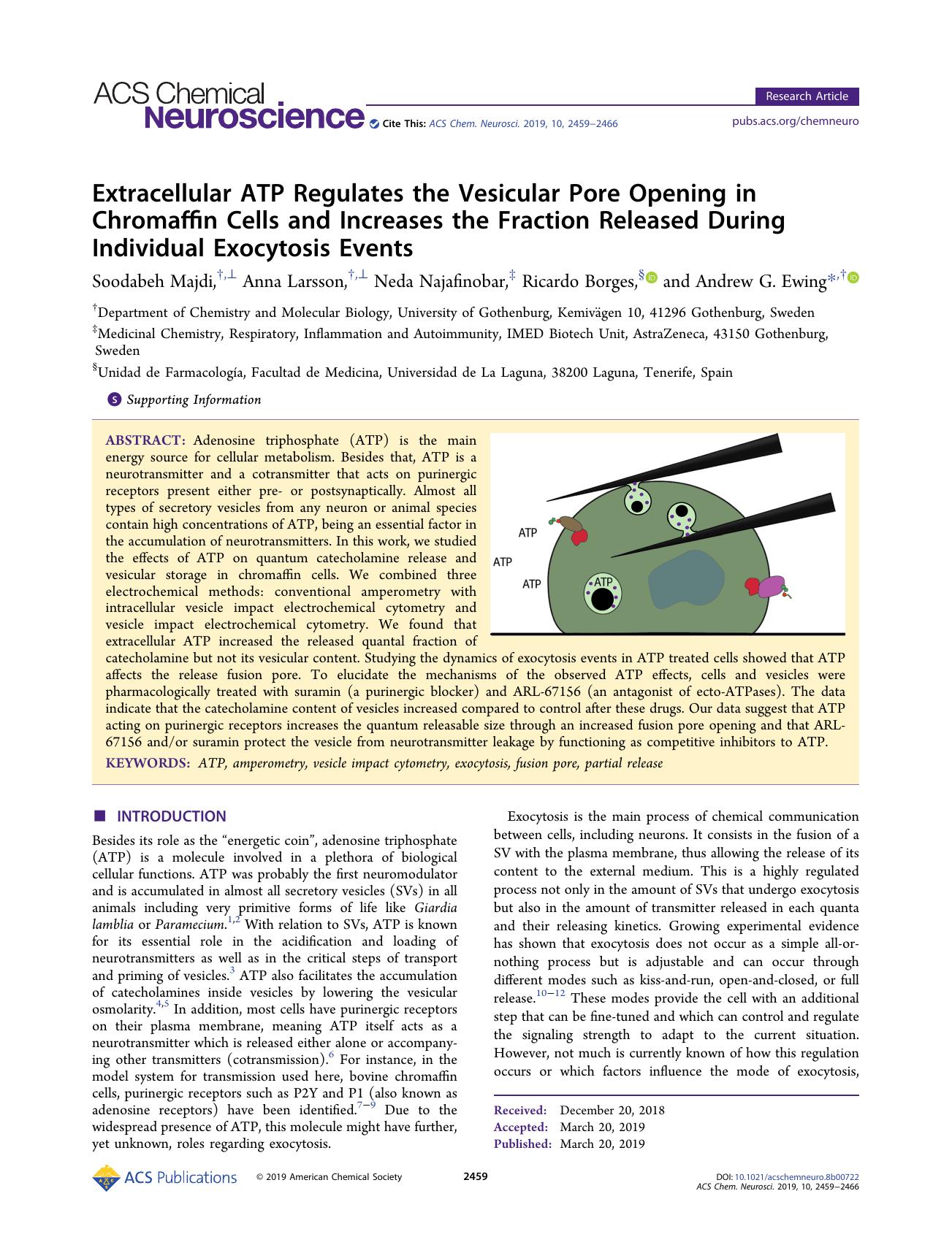 Extracellular ATP Regulates the Vesicular Pore Opening in Chromaffin Cells and Increases the Fraction Released During Individual Exocytosis Events by Soodabeh Majdi Anna Larsson Neda Najafinobar Ricardo Borges and Andrew G. Ewing