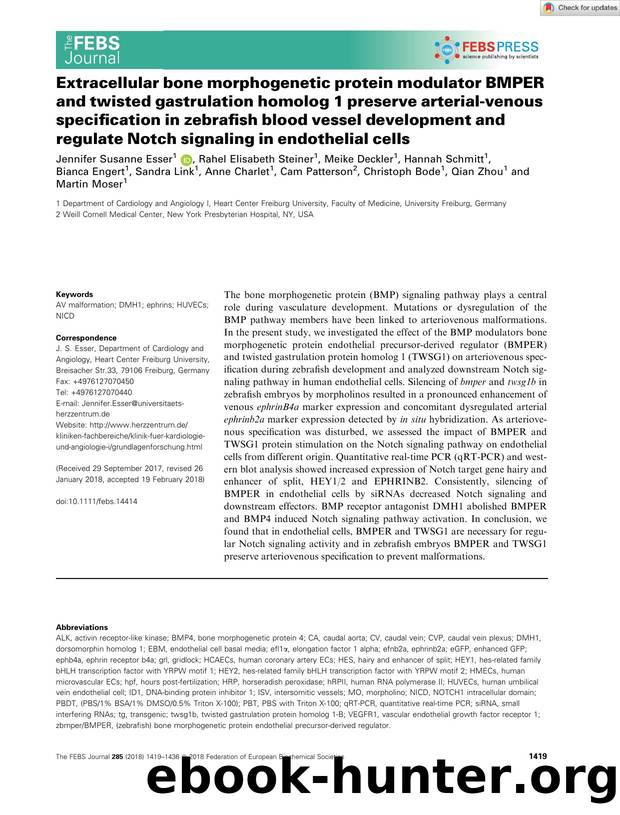 Extracellular bone morphogenetic protein modulator BMPER and twisted gastrulation homolog 1 preserve arterialâvenous specification in zebrafish blood vessel development and regul by Unknown