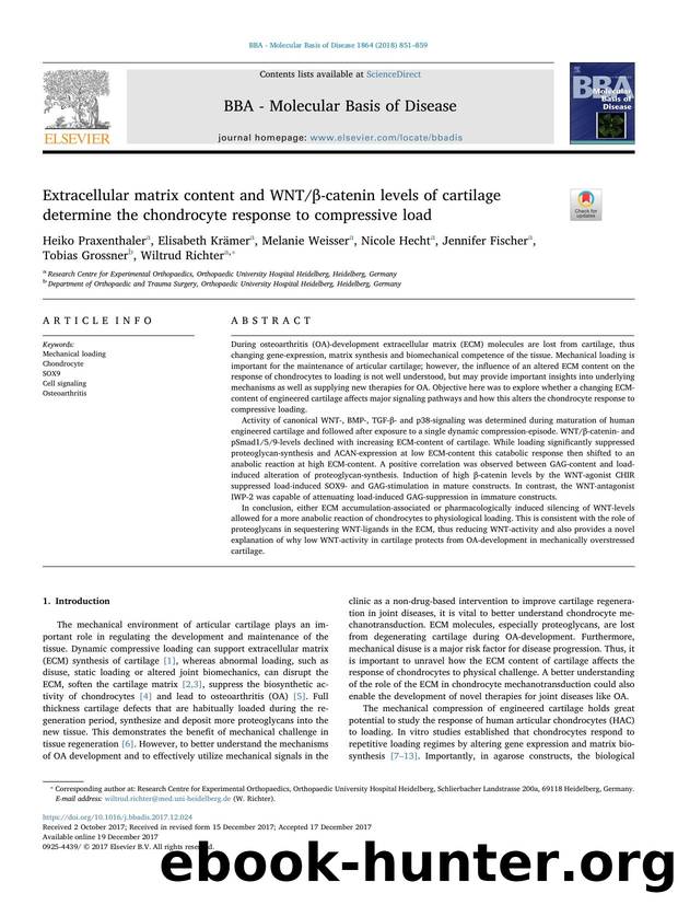 Extracellular matrix content and WNTÎ²-catenin levels of cartilage determine the chondrocyte response to compressive load by unknow