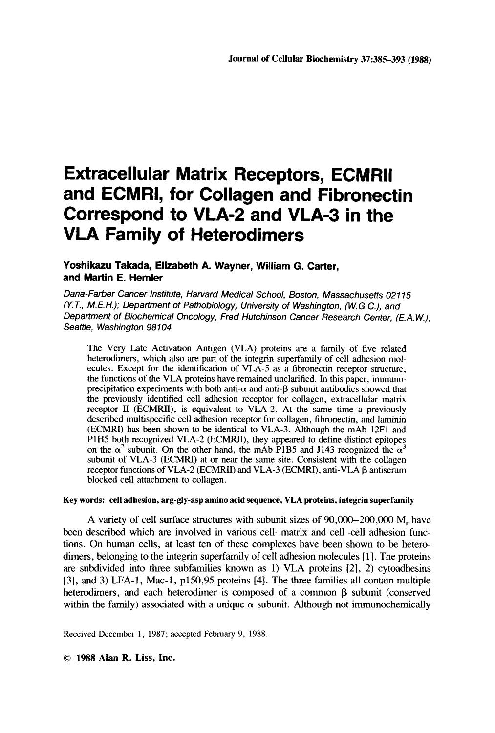 Extracellular matrix receptors, ECMRII and ECMRI, for collagen and fibronectin correspond to VLA-2 and VLA-3 in the VLA family of heterodimers by Unknown