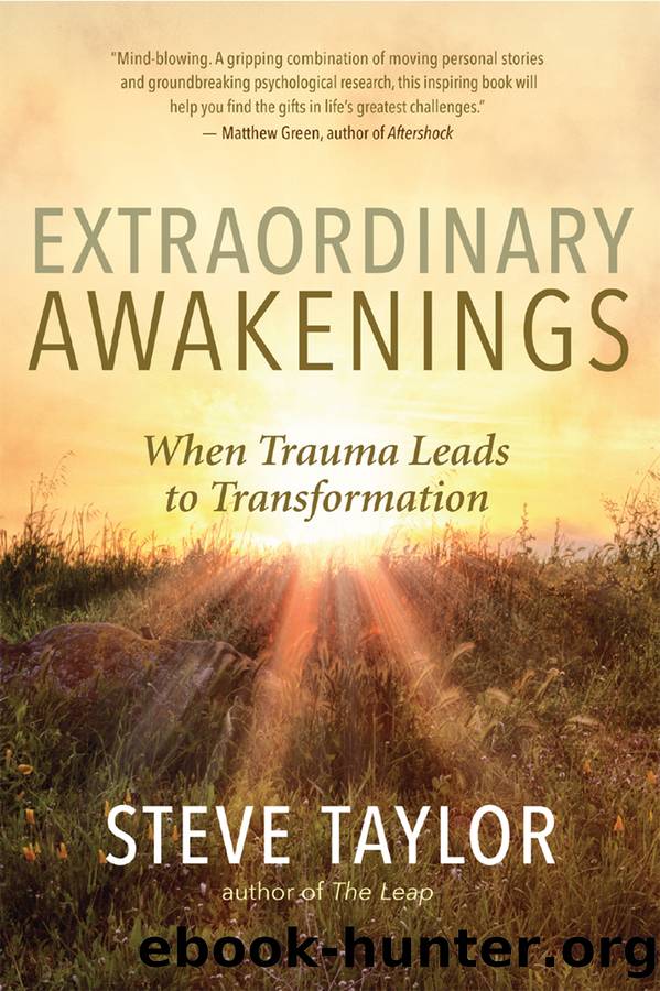 Extraordinary Awakenings by Steve Taylor