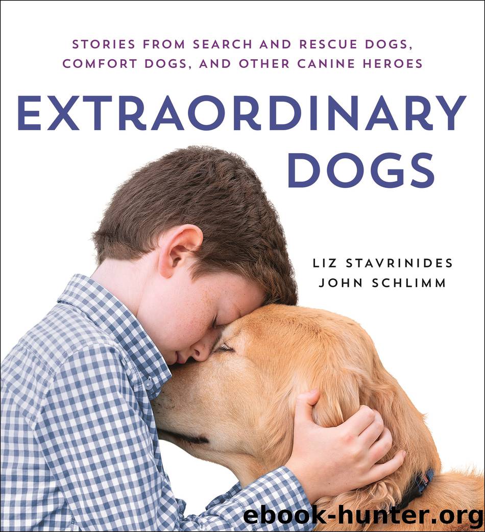 Extraordinary Dogs by Liz Stavrinides