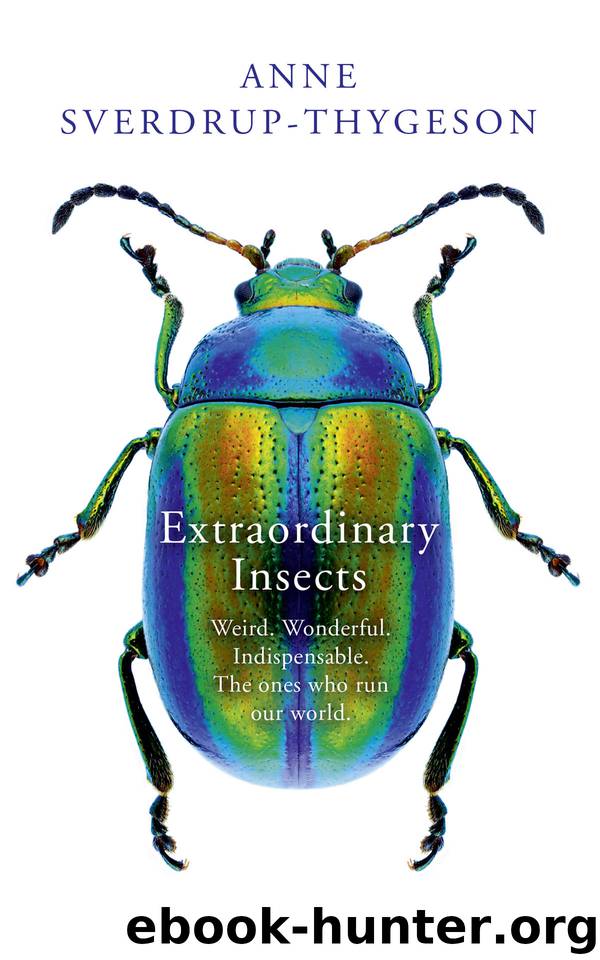 Extraordinary Insects by Anne Sverdrup-Thygeson