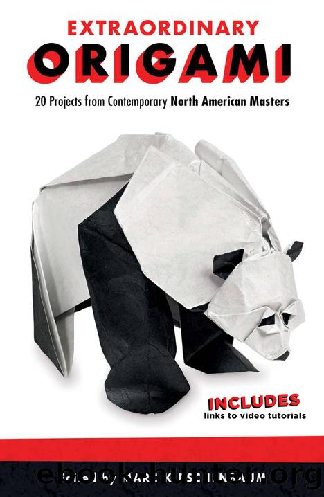 Extraordinary Origami by Marc Kirschenbaum