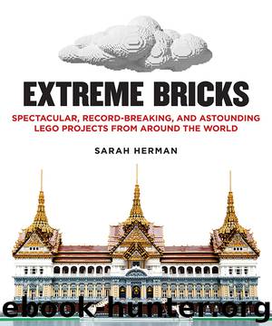 Extreme Bricks by Sarah Herman